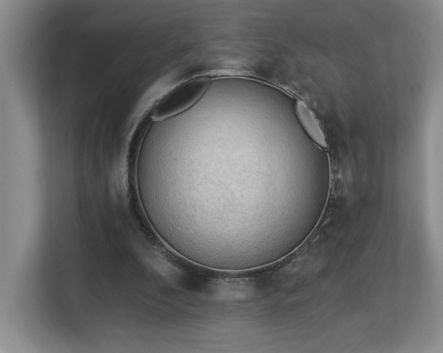 X0000112740296200908201352