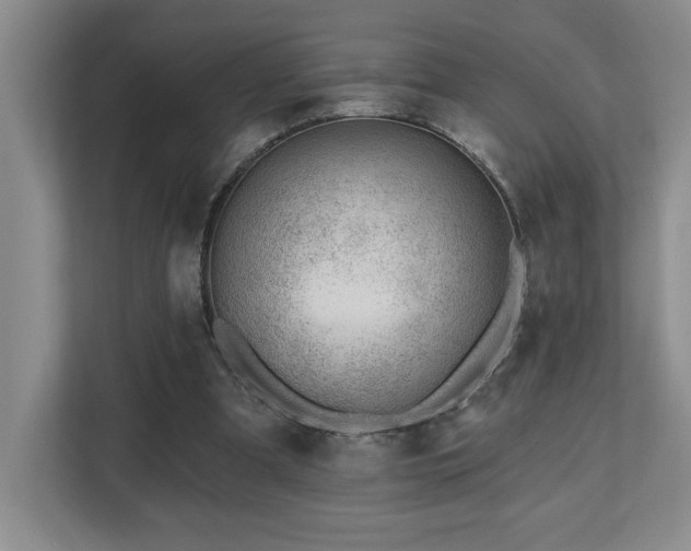 X0000112740297200908201352