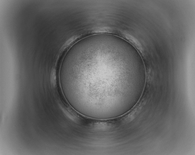 X0000112740298200908201352