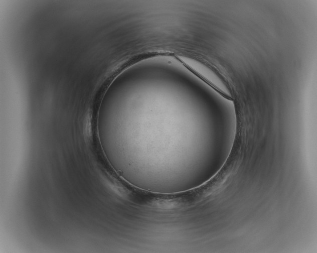 X0000112740299200908201352