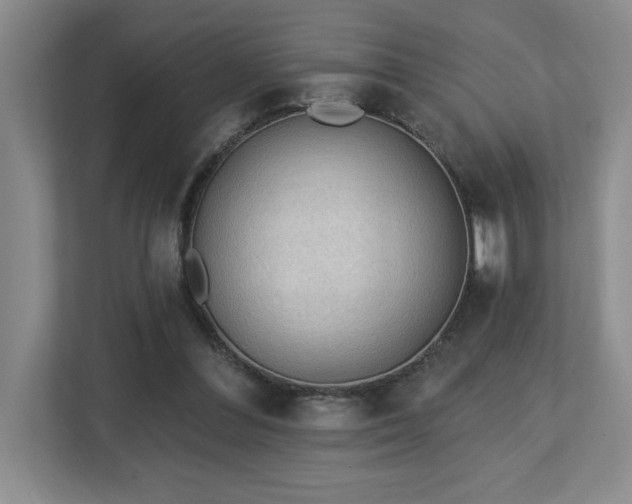 X0000112740300200908201352