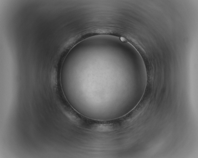 X0000112740303200908201352