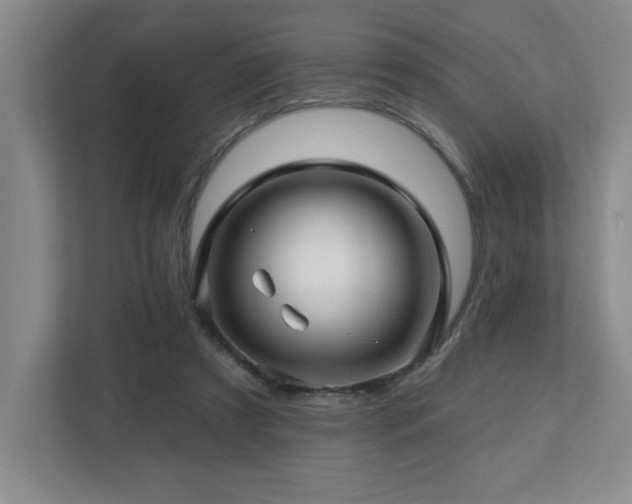 X0000112740305200908201352