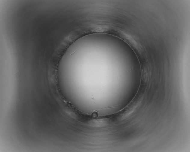 X0000112740307200908201352