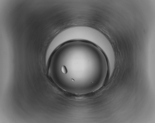 X0000112740309200908201352