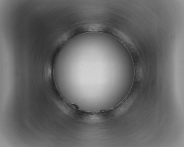 X0000112740310200908201352