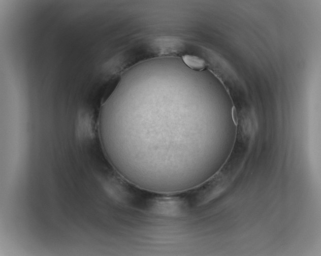 X0000112740316200908201351
