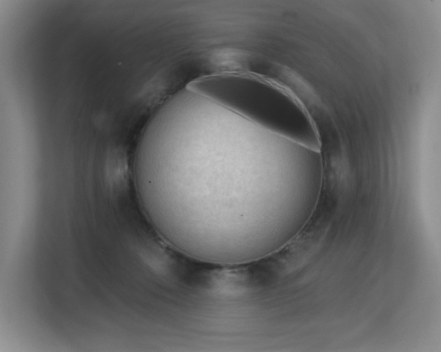 X0000112740320200908201351