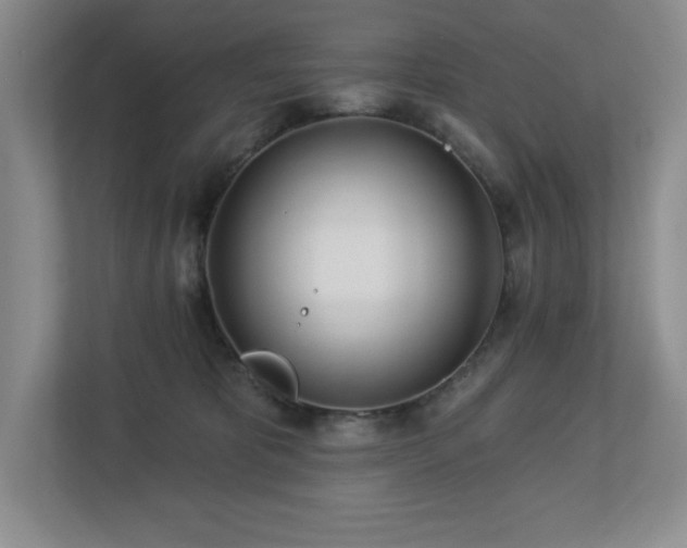 X0000112740325200908201351