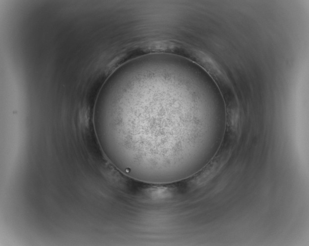 X0000112740326200908201351