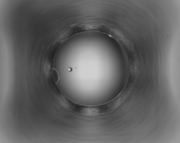 X0000112740327200908201351