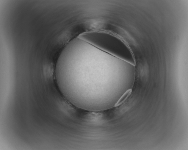X0000112740328200908201351