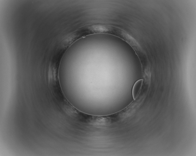 X0000112740330200908201351