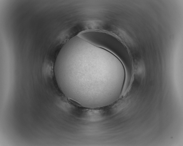 X0000112740332200908201351