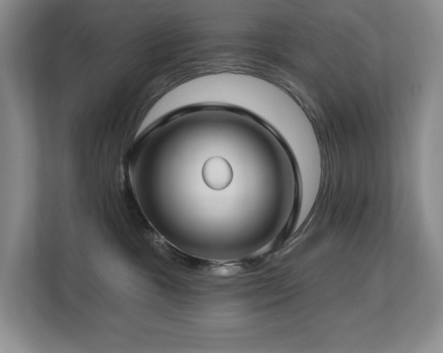 X0000112740333200908201351