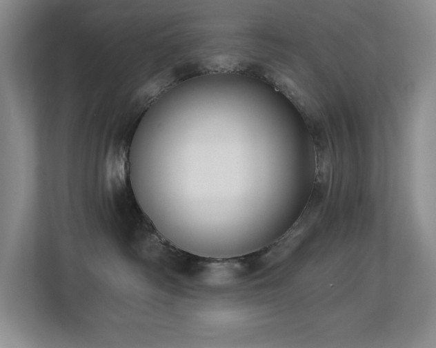 X0000112740334200908201351