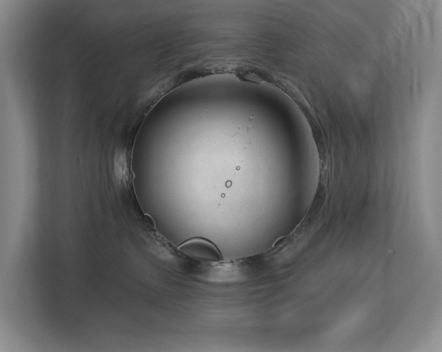 X0000112740335200908201351