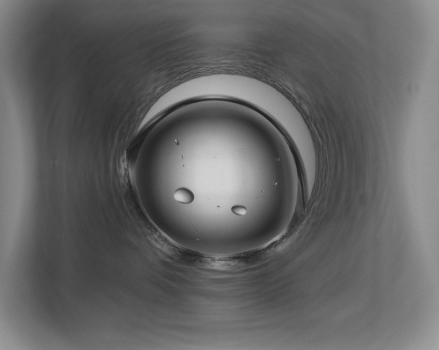 X0000112740336200908201351