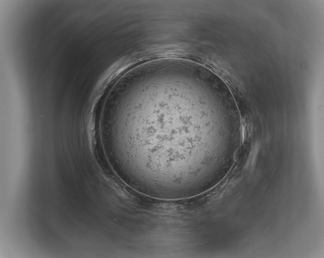 X0000112740339200908201351