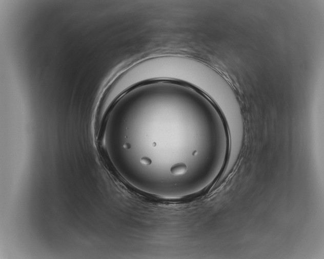 X0000112740340200908201351