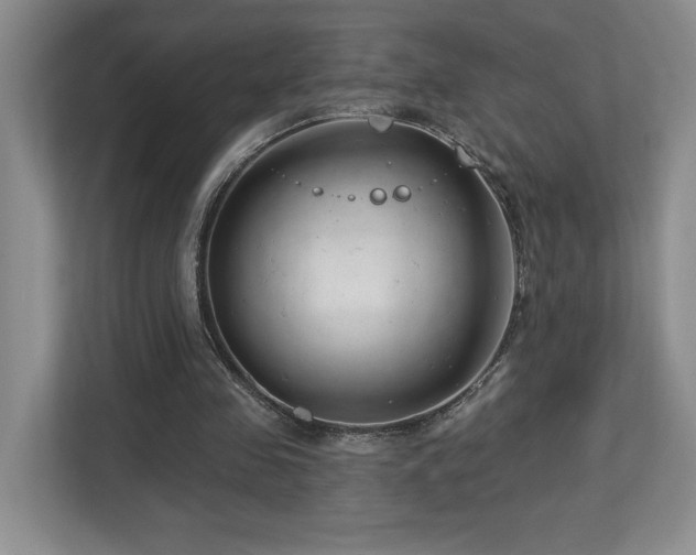 X0000112740341200908201351
