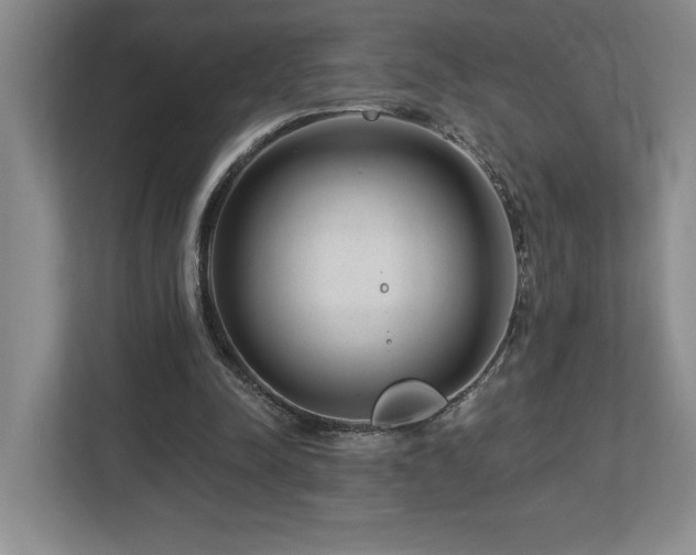 X0000112740342200908201351