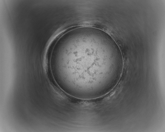 X0000112740343200908201351