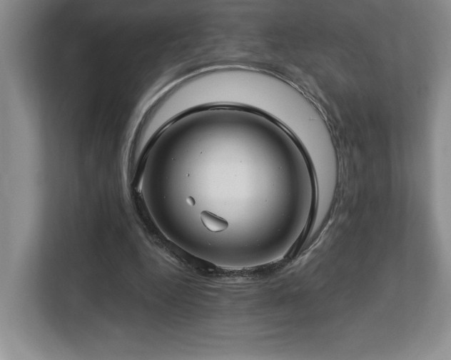 X0000112740344200908201351