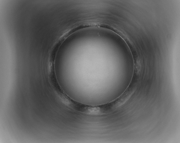 X0000112740355200908201351