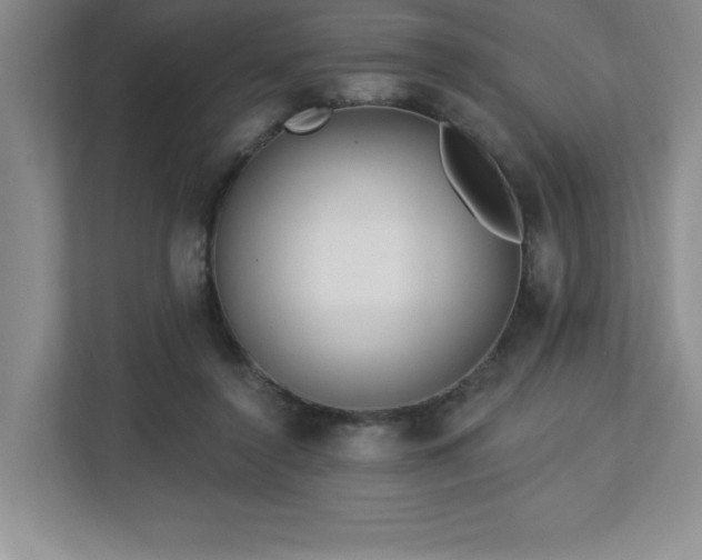 X0000112740356200908201351