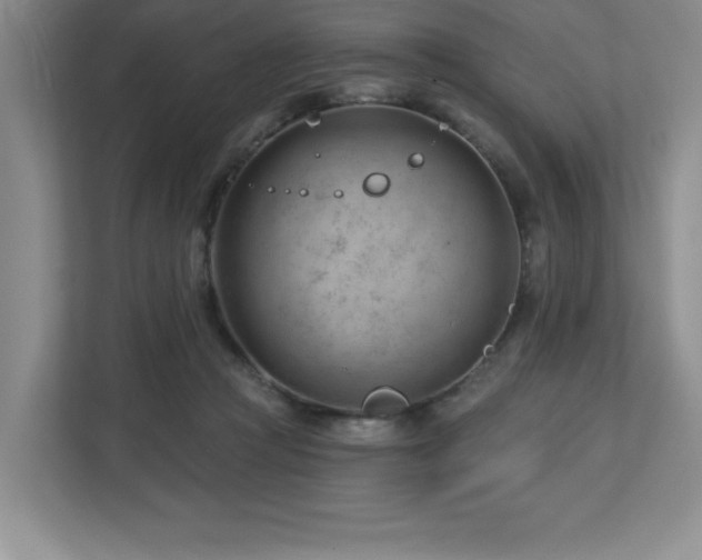 X0000112740361200908201351