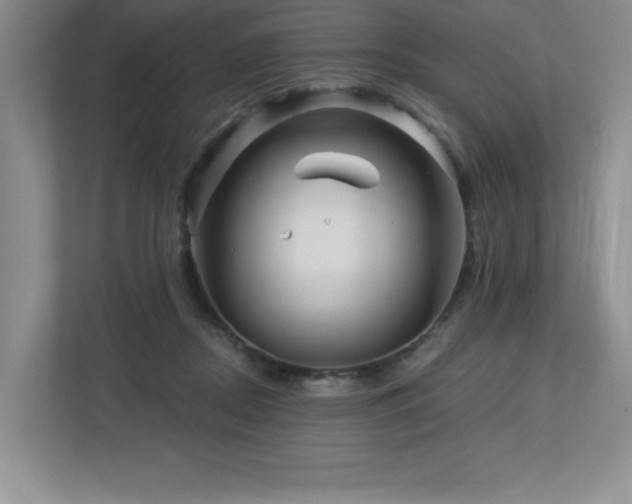 X0000112740362200908201351