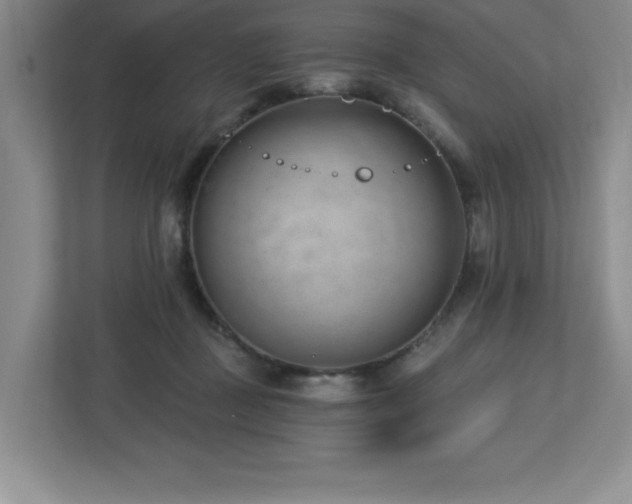 X0000112740363200908201351