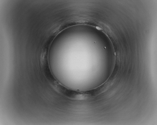 X0000112740364200908201351