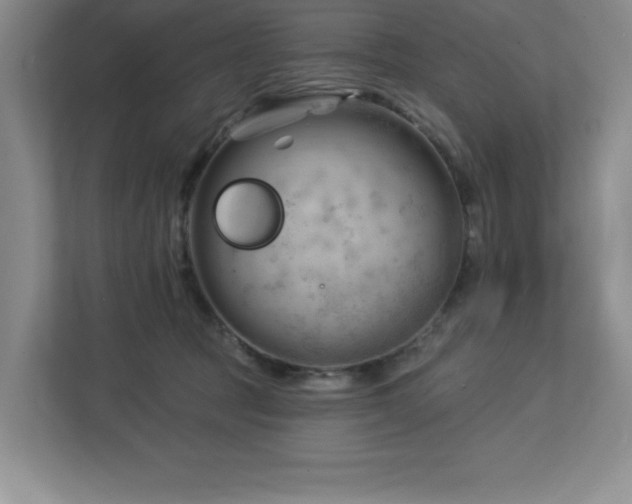X0000112740369200908201351