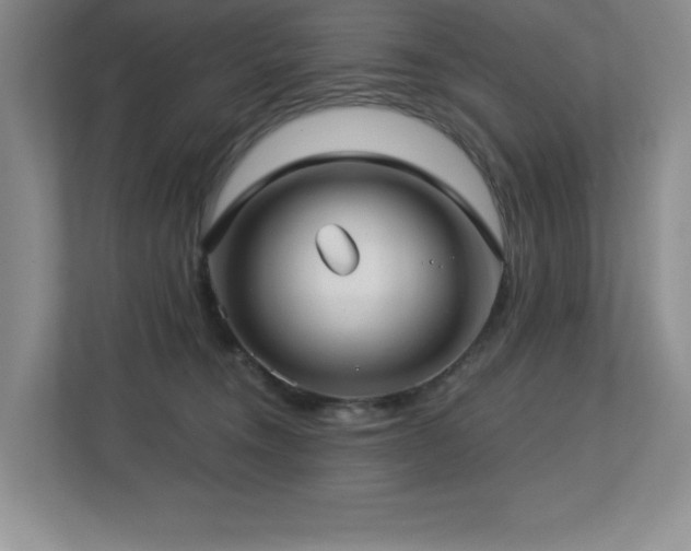 X0000112740372200908201351
