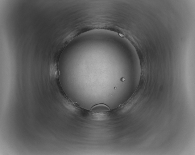 X0000112740383200908201351