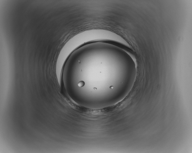 X0000112740384200908201351