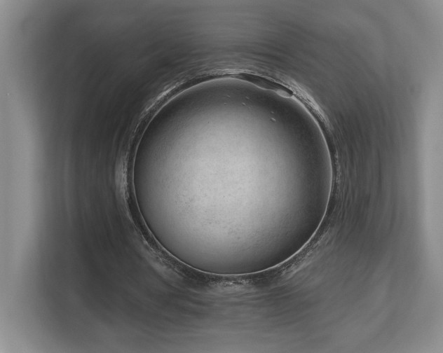 X0000112740386200908201351