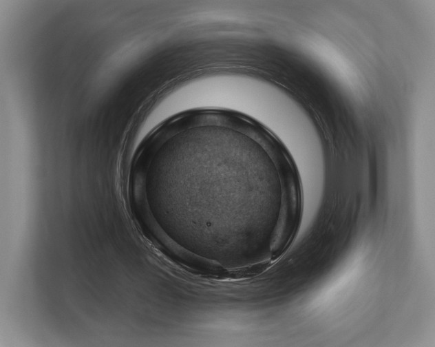 X0000112740387200908201351