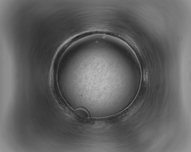 X0000112740388200908201351