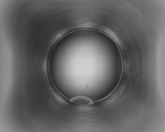 X0000112740389200908201351