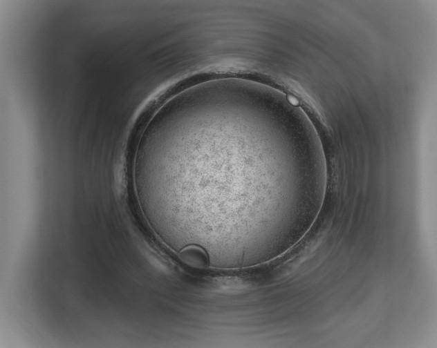 X0000112740392200908201350
