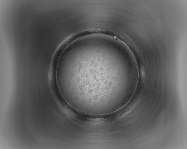 X0000112740396200908201350