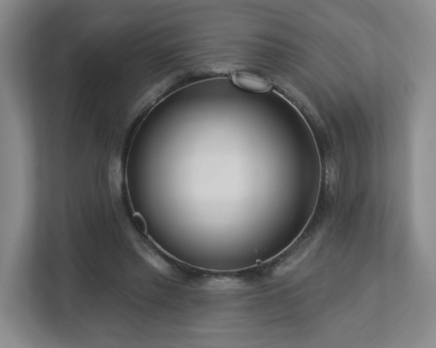 X0000112740397200908201350