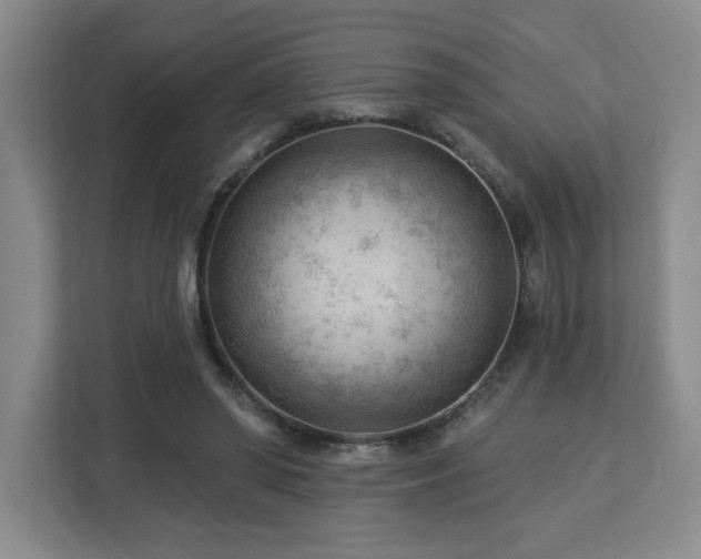X0000112740398200908201350