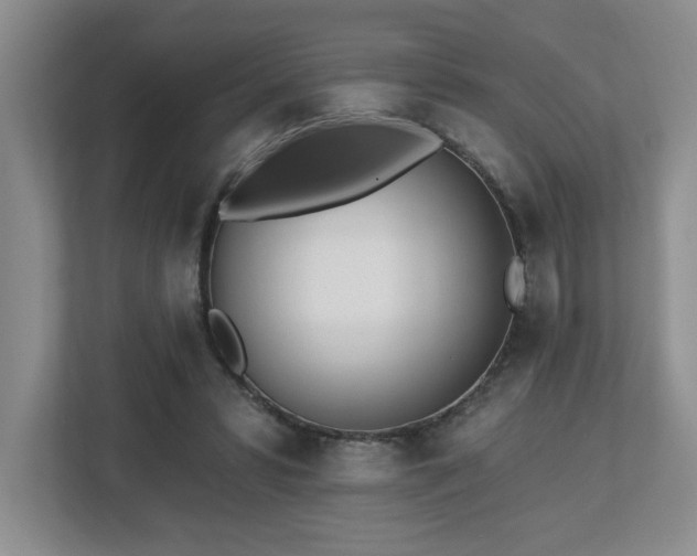 X0000112740399200908201350
