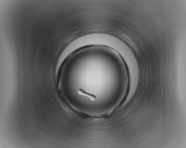 X0000112740401200908201350