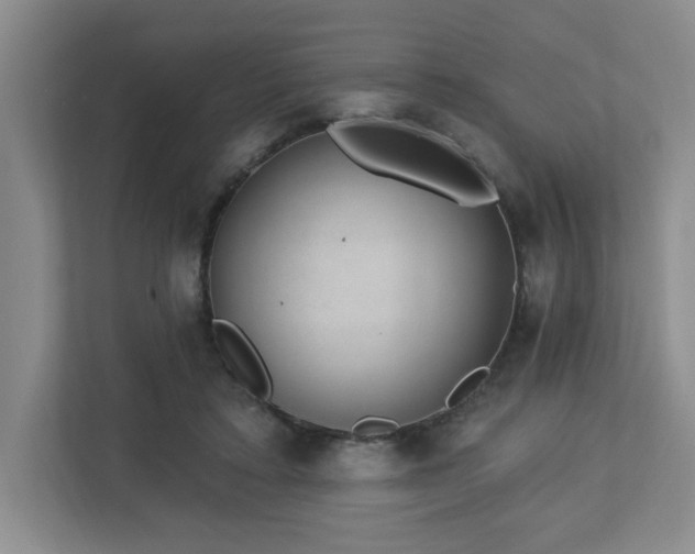 X0000112740403200908201350