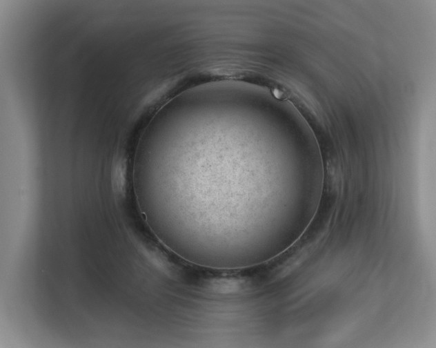 X0000112740404200908201350